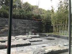 -外滩悦榕庄·海怡西餐厅