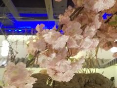 -淀里船宴(裕华东路店)