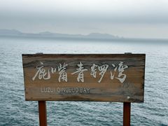 -杨梅坑