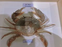 -中国湿地博物馆