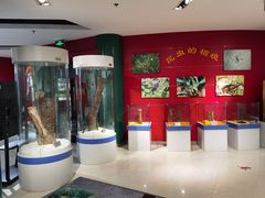 -上海昆虫博物馆