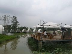 -桤木河湿地公园