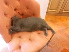 -Me Coffee下午茶艺术空间