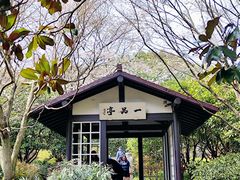 -中国茶叶博物馆(双峰馆区)