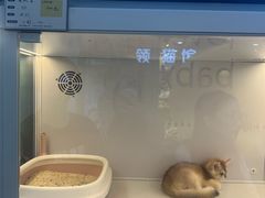 -万达广场(北京槐房店)