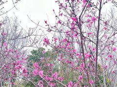 -狼山风景名胜区