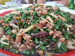 霸王兔尖椒兔-东吴霸王兔(松青路店)