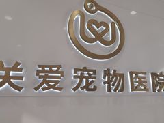 -关爱宠物医院·猫科中心·消化科(滨湖万达分院)