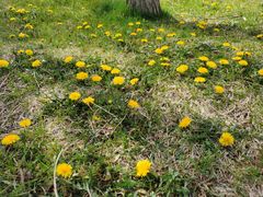 -亿利库布其七星湖沙漠生态旅游区