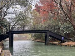 -同里国家湿地公园