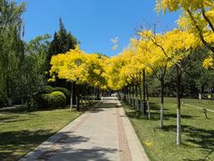 -南翠屏公园