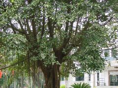 -广东外语外贸大学(白云山校区)