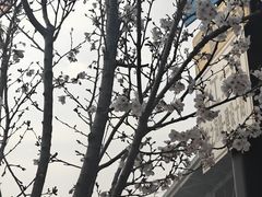 -武汉长江大桥