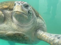 -珠海长隆海洋王国