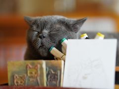 -猫咖时代(中山亭店)