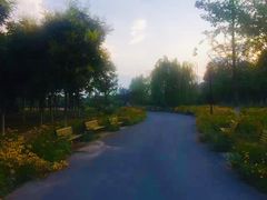 -永定河休闲森林公园