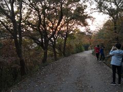 -紫金山索道-售票处