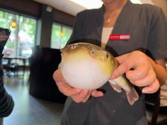 -永安鱼庄·镇江菜(东吴路店)