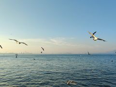 -大连君悦酒店·星海湾壹号Dalian·Dalian(星海广场店)