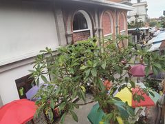 -乌布德传统市场