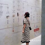 厦门看展｜故宫的海洋世界被搬到厦门啦！