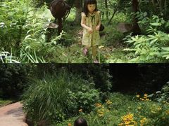 -杭州开元森泊度假乐园