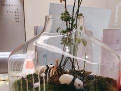 -齐玉齿科JADENTAL