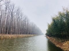 -黄海国家森林公园