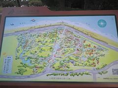 -上海滨江森林公园