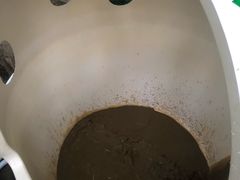 -100蛋泥浆浴
