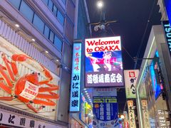 -蟹道乐(道顿堀本店)