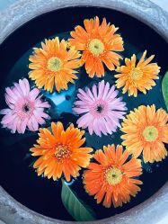 -琦品高端美容SPA私佳美场