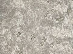 -伍山石窟