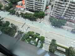 -万绿园