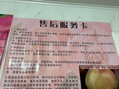 -老袁家蜜桃农场·阳山水蜜桃