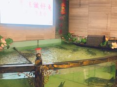 -楚鱼王·河鲜·湖北菜(华农店)