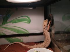 -藦茜花园宠物主题亲子互动体验馆(国顺东路店)