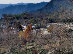 -塔川景区