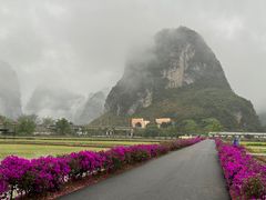 -明仕田园
