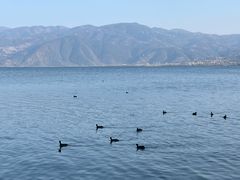-西昌邛海宾馆