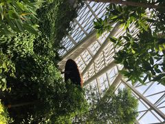 iphone_upload_pic-西安世博园