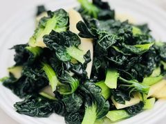 -海金滋(陕西南路店)