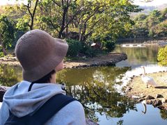 -清迈夜间动物园