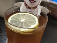 -逗柴咖啡屋·狗咖猫咖宠物桌游