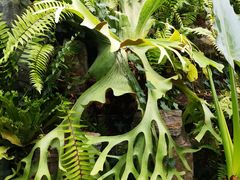 -国家植物园南园