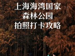 -上海海湾国家森林公园