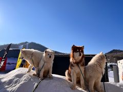 -长白山万达国际滑雪场