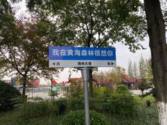 -黄海国家森林公园