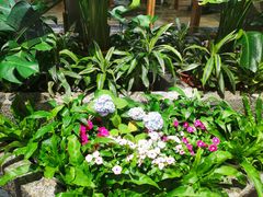 -园里火锅(仁和新城店)