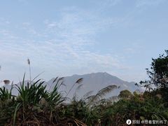 -木塔寺遗址生态公园